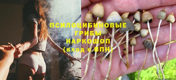 spice Белокуриха