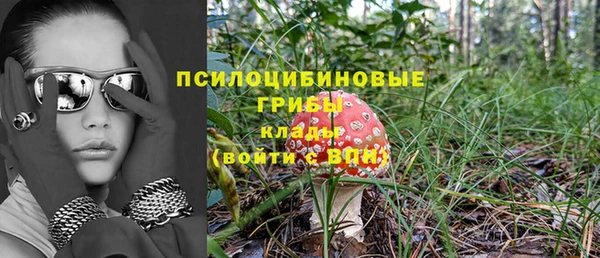 spice Белокуриха